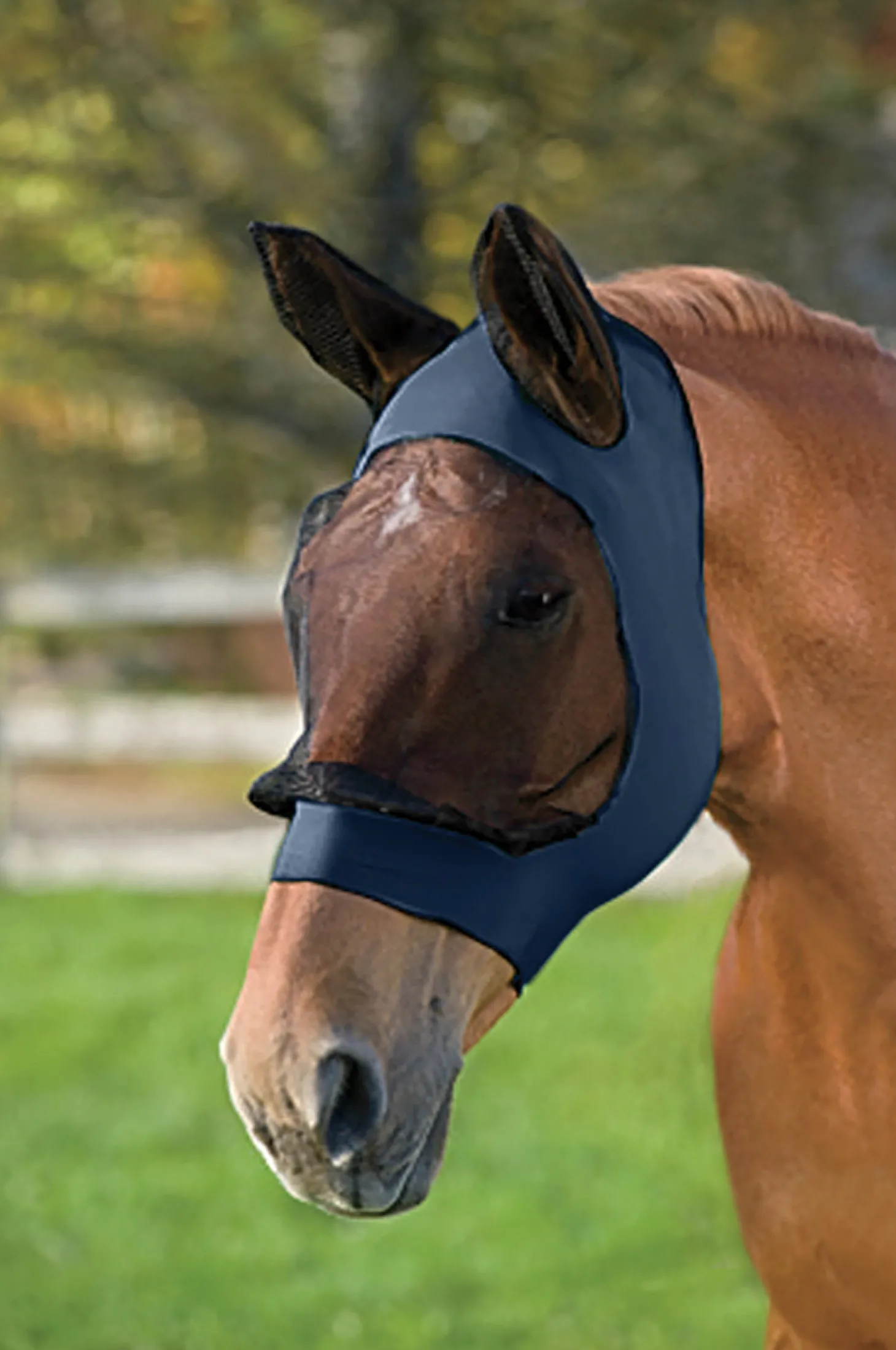WeatherBeeta® Stretch Eye Saver with Ears