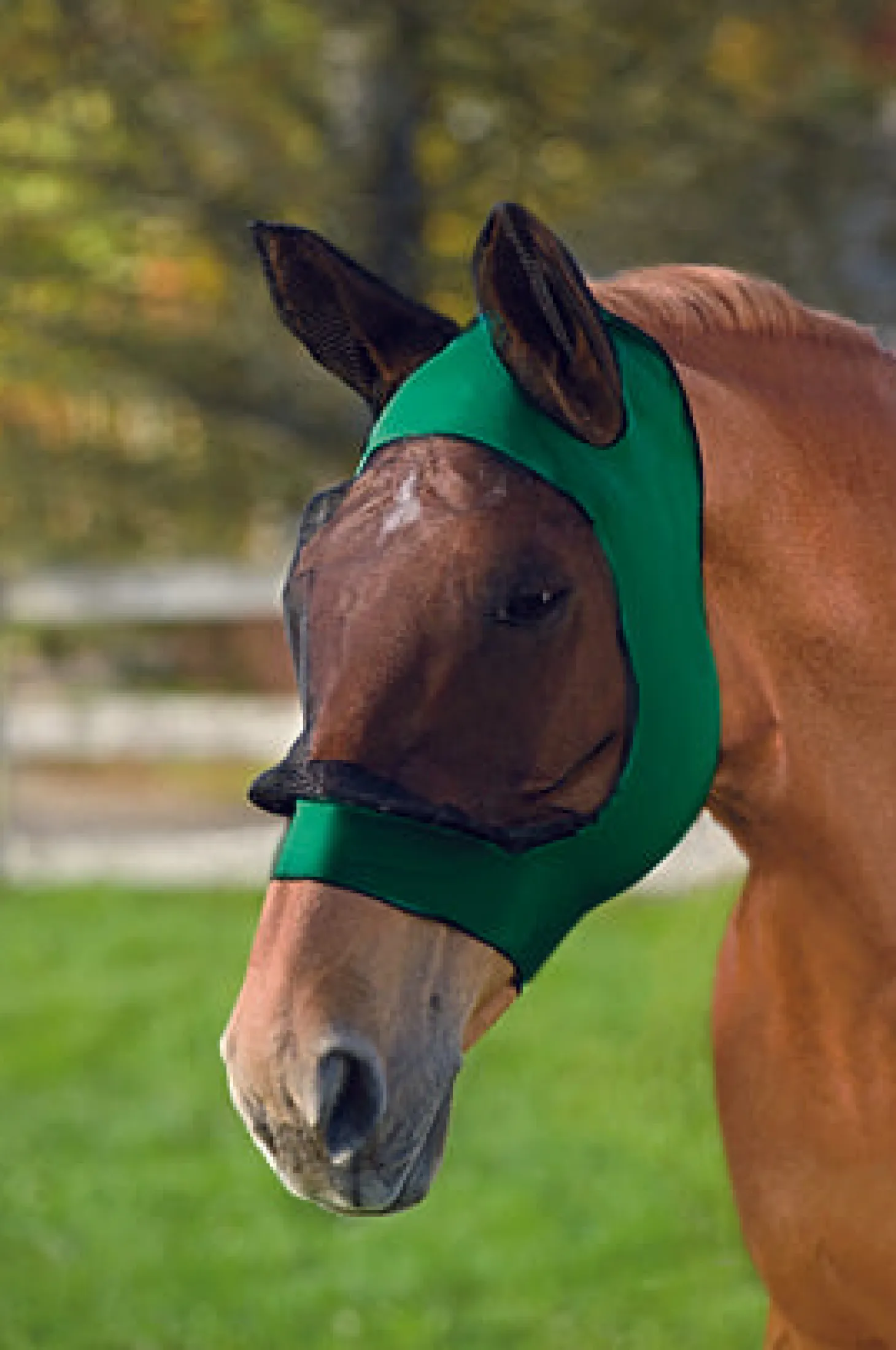 WeatherBeeta® Stretch Eye Saver with Ears