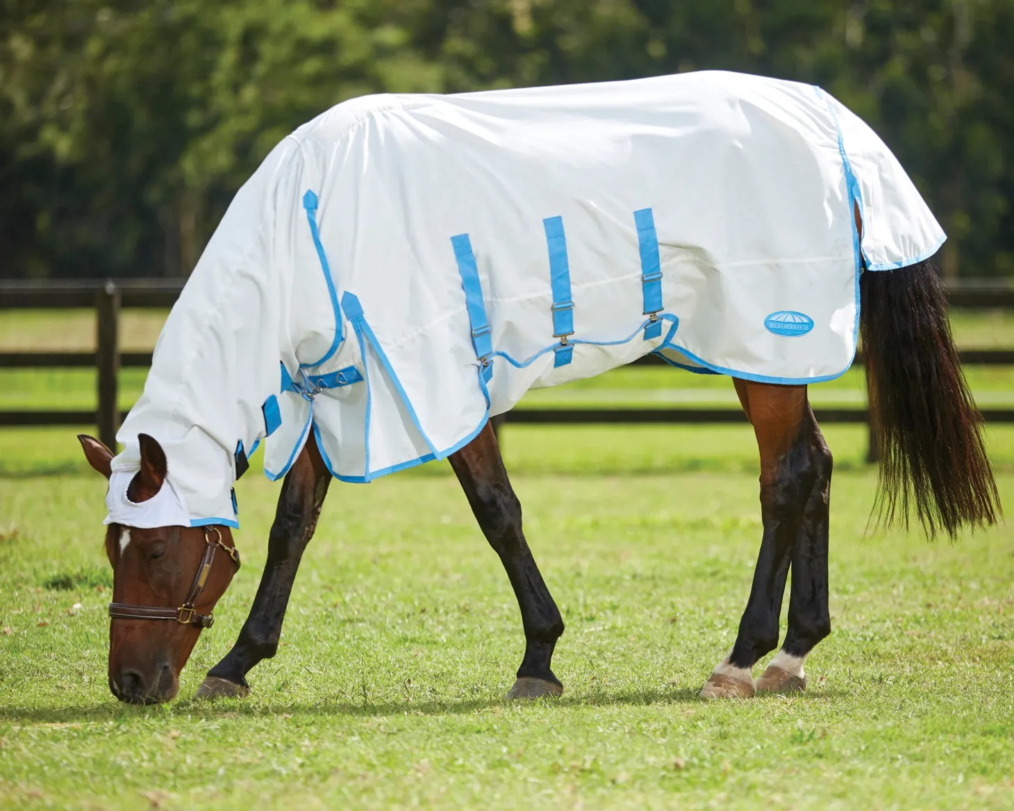 WeatherBeeta® Sweet Itch Shield with Combo Neck