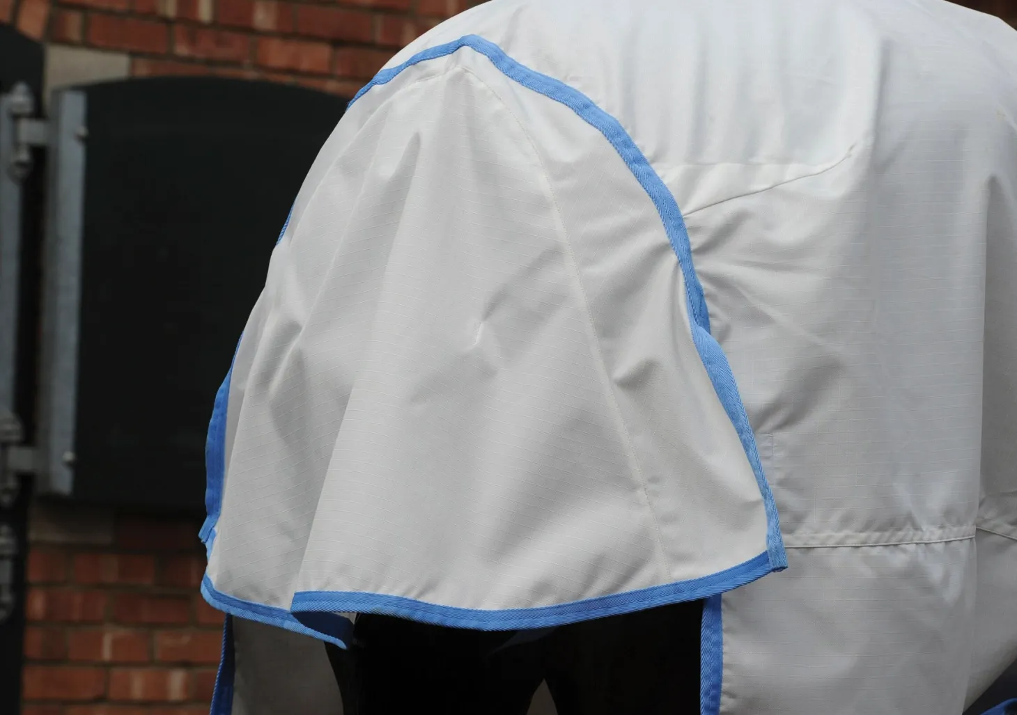 WeatherBeeta® Sweet Itch Shield with Combo Neck